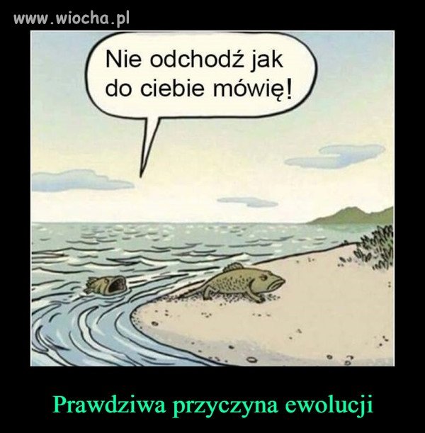 Ewolucja