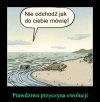 Ewolucja