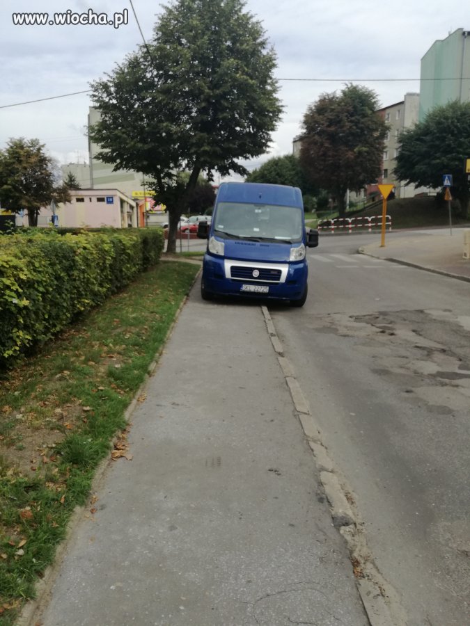Mistrz parkowania
