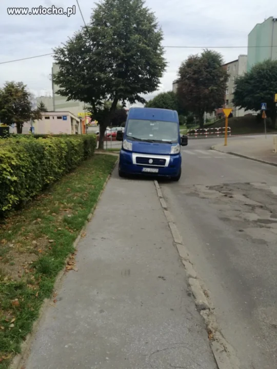 Mistrz parkowania