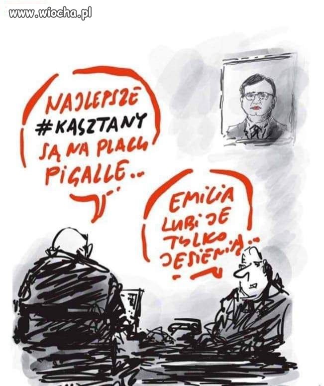 Udał się kasztan