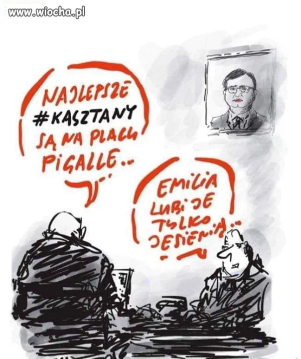 Udał się kasztan
