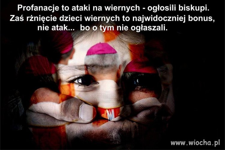 Powiedzieli co wiedzieli ...