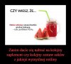 Ku przestrodze