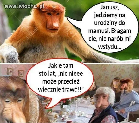 Urodziny mamusi
