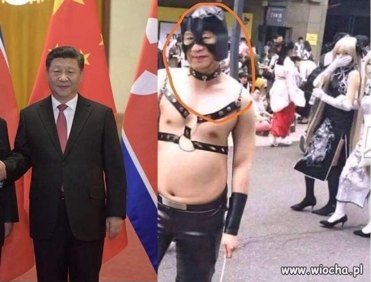Nie tylko w Polsce rządzi gej! 