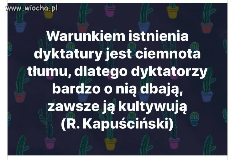Pis bardzo dba o swoich wyborców 