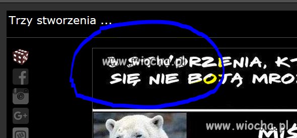 Wiocha wiochy
