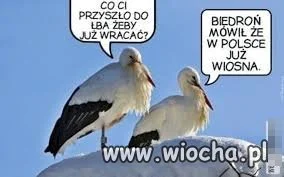 Co ci przyszło do łba