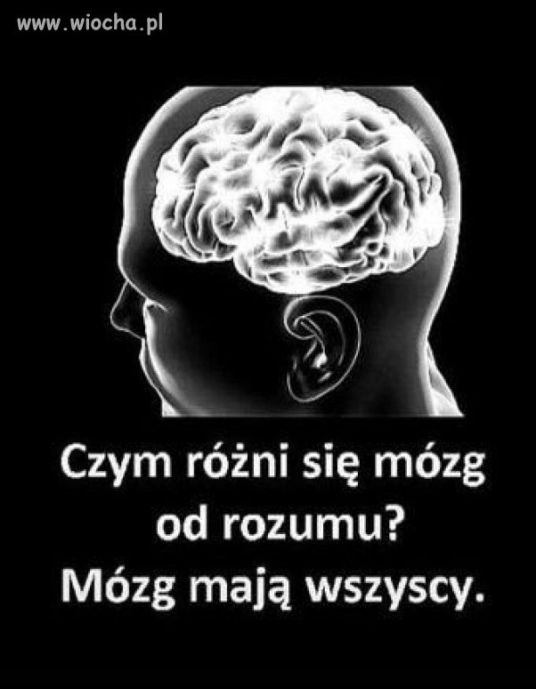 Warto to przemyśleć 
