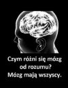 Warto to przemyśleć 