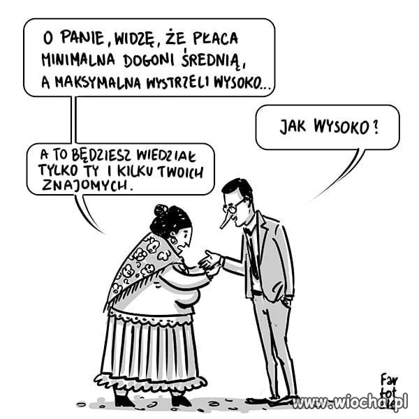 Wróżka 