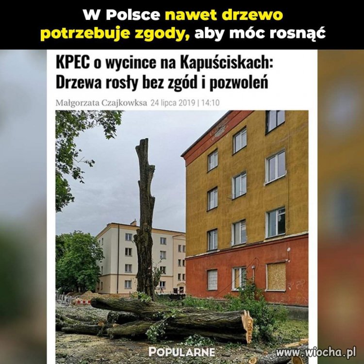 Najprościej wyciąć