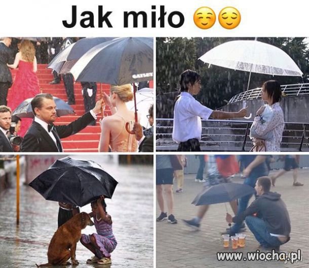 Co jest najważniejsze w życiu...