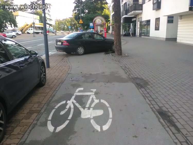 Wawa tak sie parkuje
