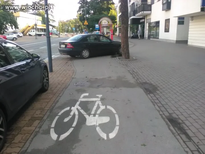 Wawa tak sie parkuje
