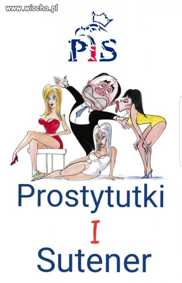 Prezes NIK z ramienia partii pis
