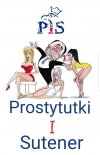 Prezes NIK z ramienia partii pis