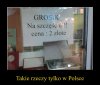 Mistrz biznesu