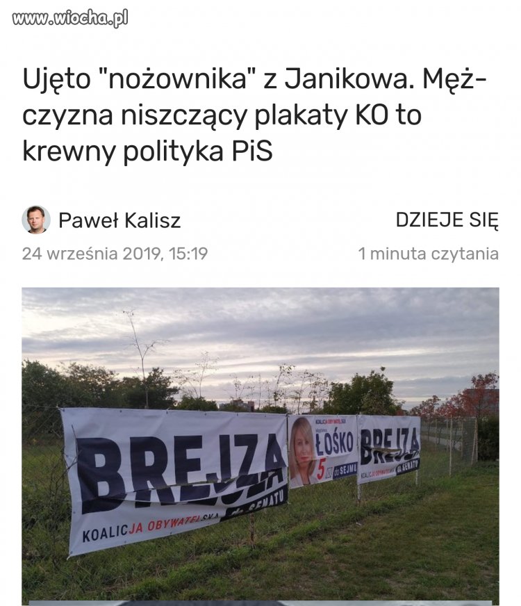 Pisowska patologia
