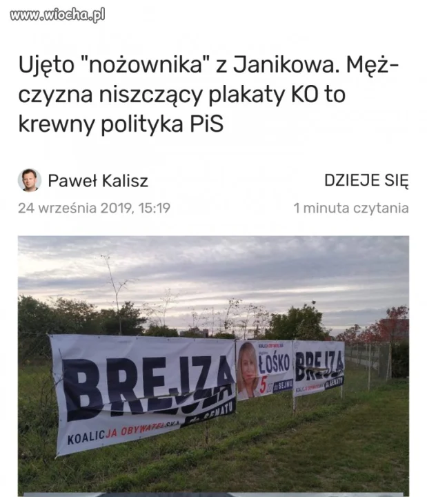 Pisowska patologia