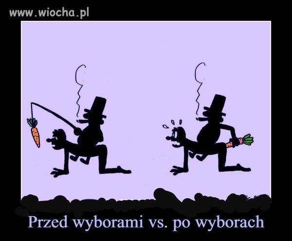 Cała prawda