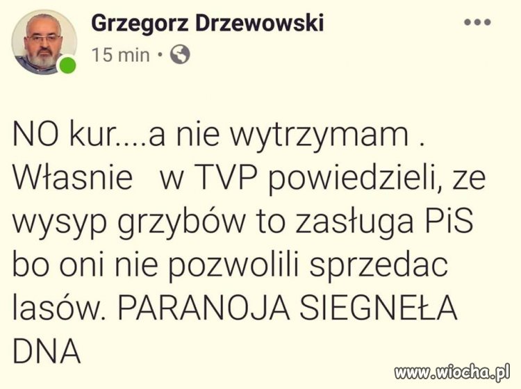 Paranoja i Schizofrenia ... level hard