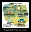 Niestety, taka jest prawda ...