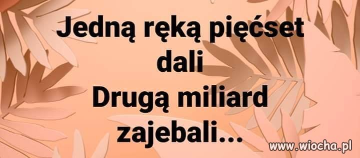 Taki jest pis