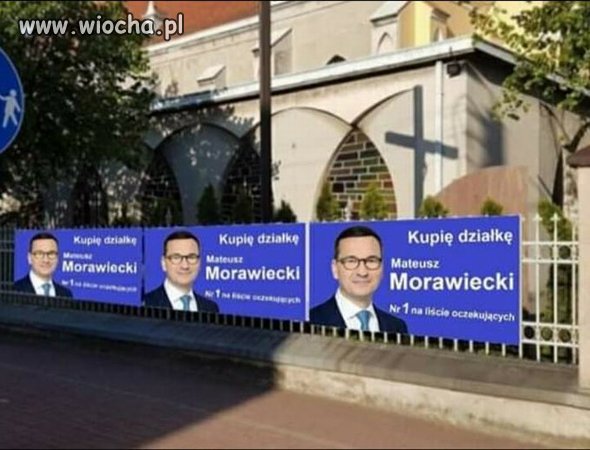 Tanio kupię