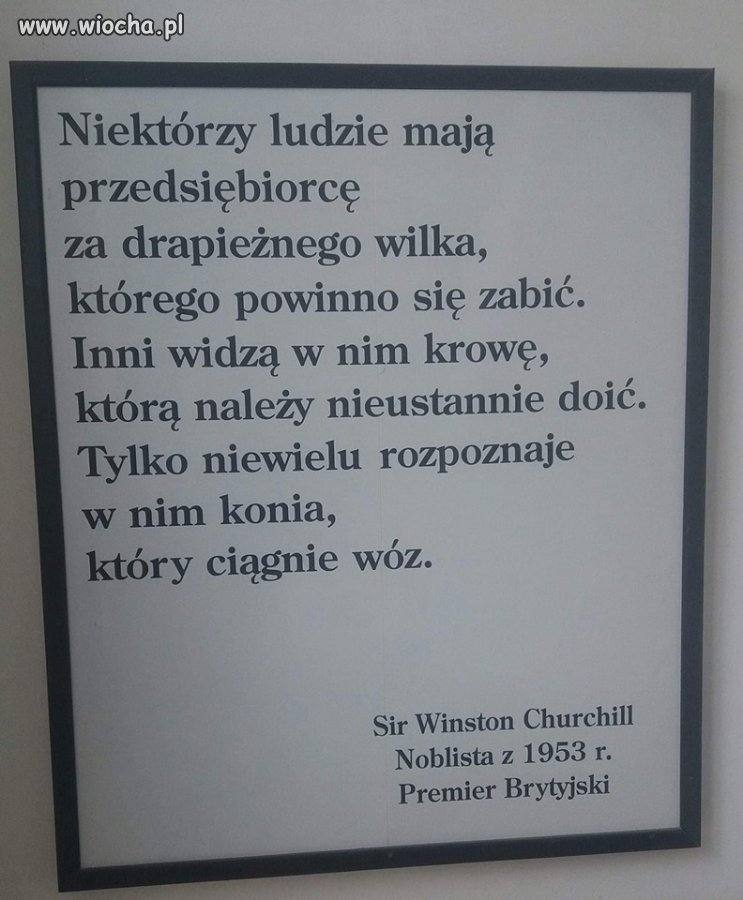 Mądre słowa 