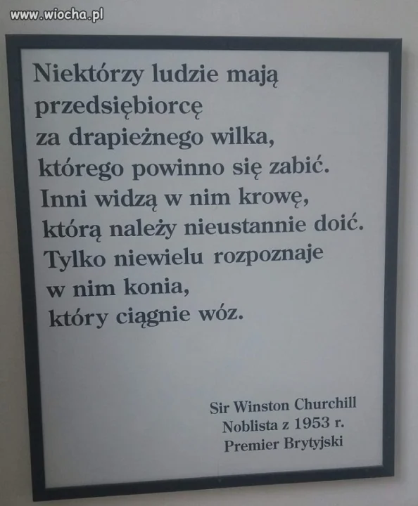 Mądre słowa 