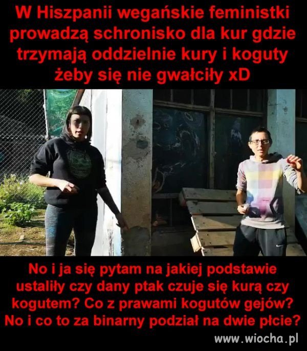 Świat