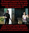 Świat