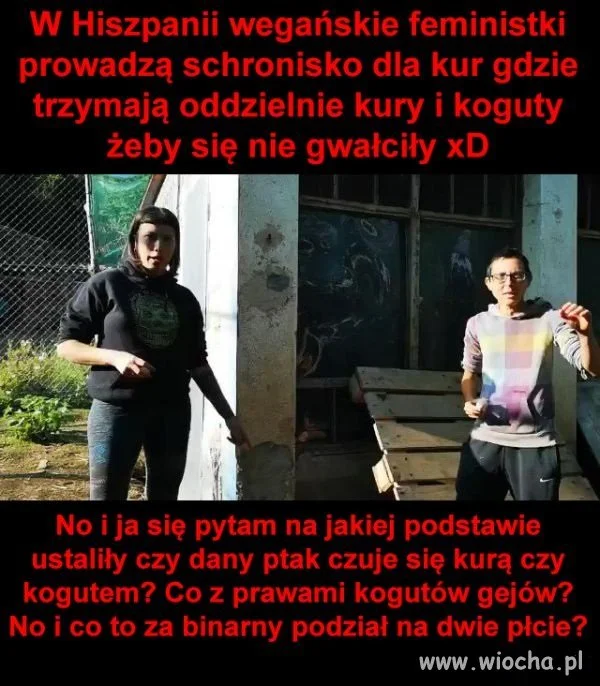 Świat