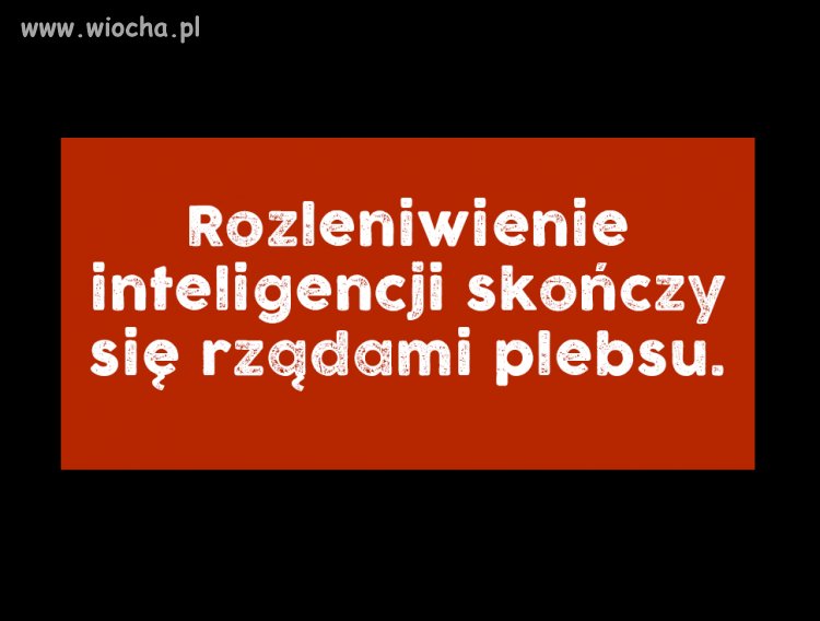 Dlatego musimy iść na wybory.
