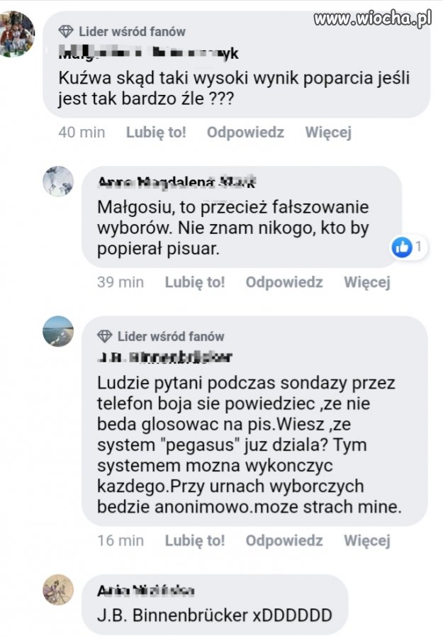 Latający koń patrzy