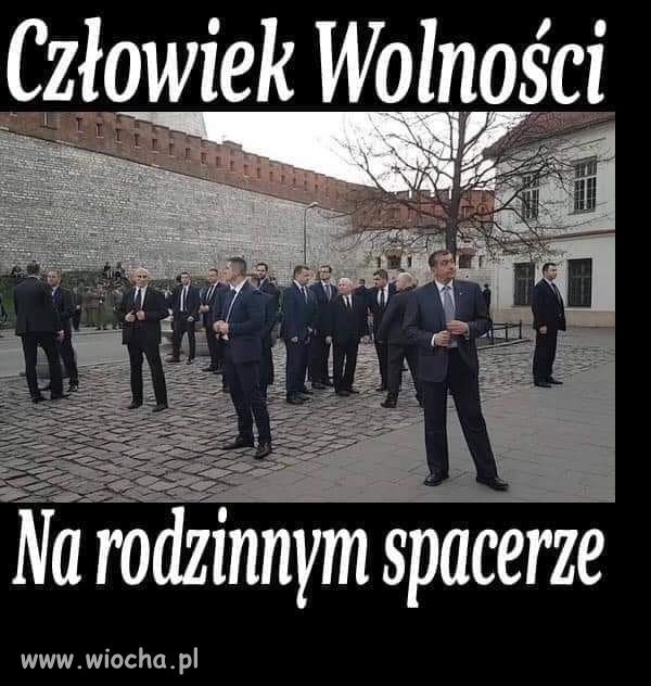 Tymczasem 