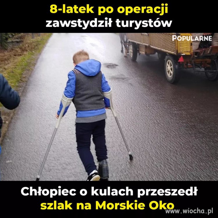 Brawo! 