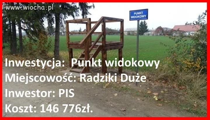 Miś?