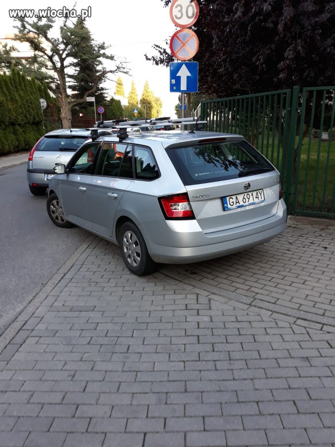 Łoś 