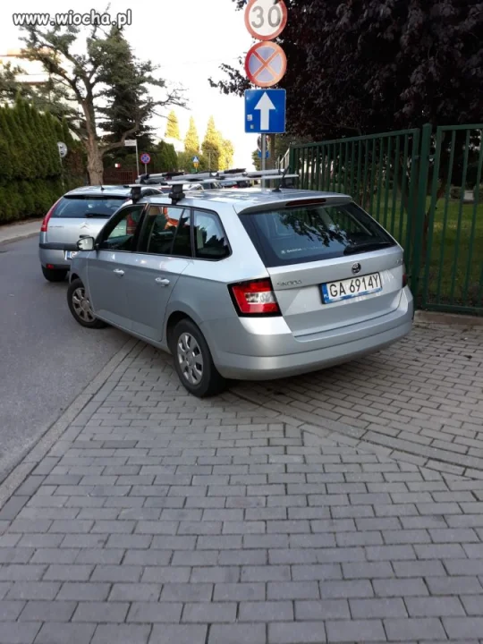 Łoś 