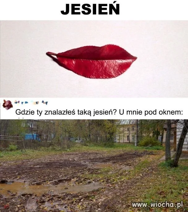 No właśnie 