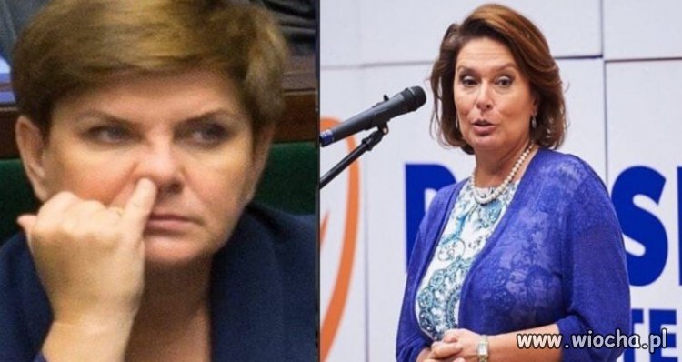 Klasa polityczna