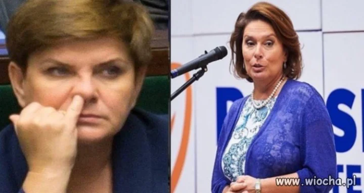 Klasa polityczna