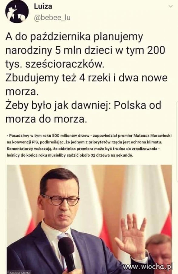 ...plany