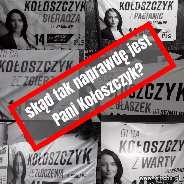 Ta pani