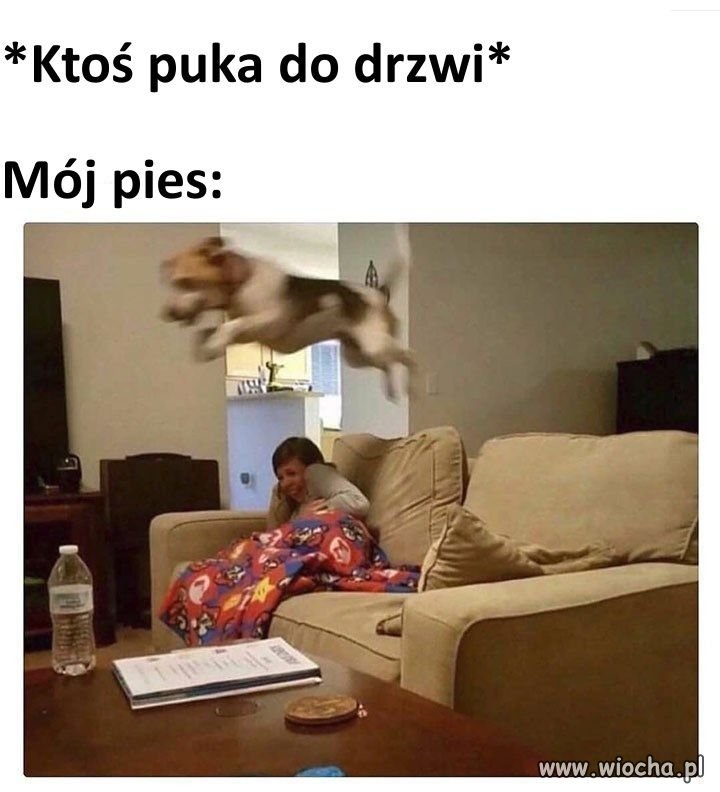 Heheszki
