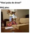 Heheszki
