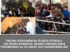 Hej młoda! Hej młody!